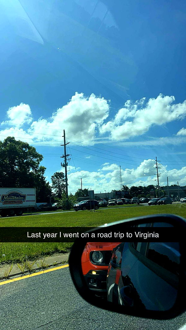 carmmieecat image ~ Altpins