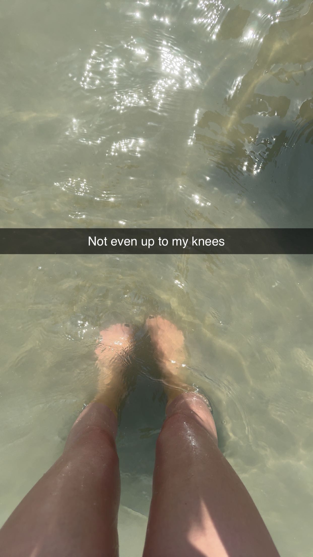 carmmieecat snapchat image archive image