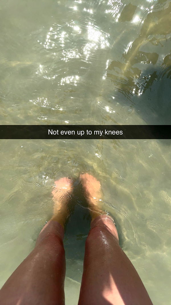 carmmieecat image ~ Altpins