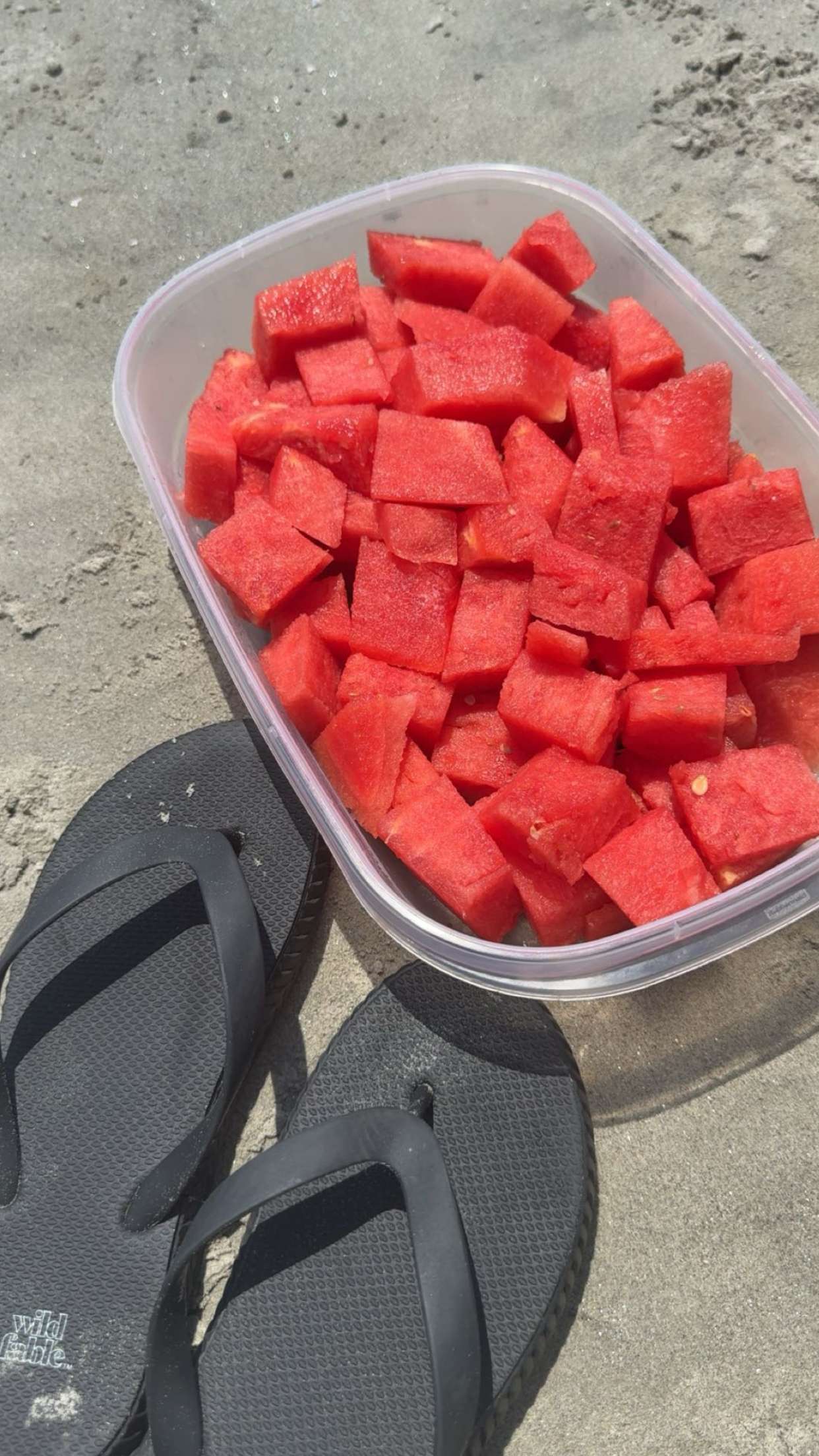 carmmieecat snapchat image archive image