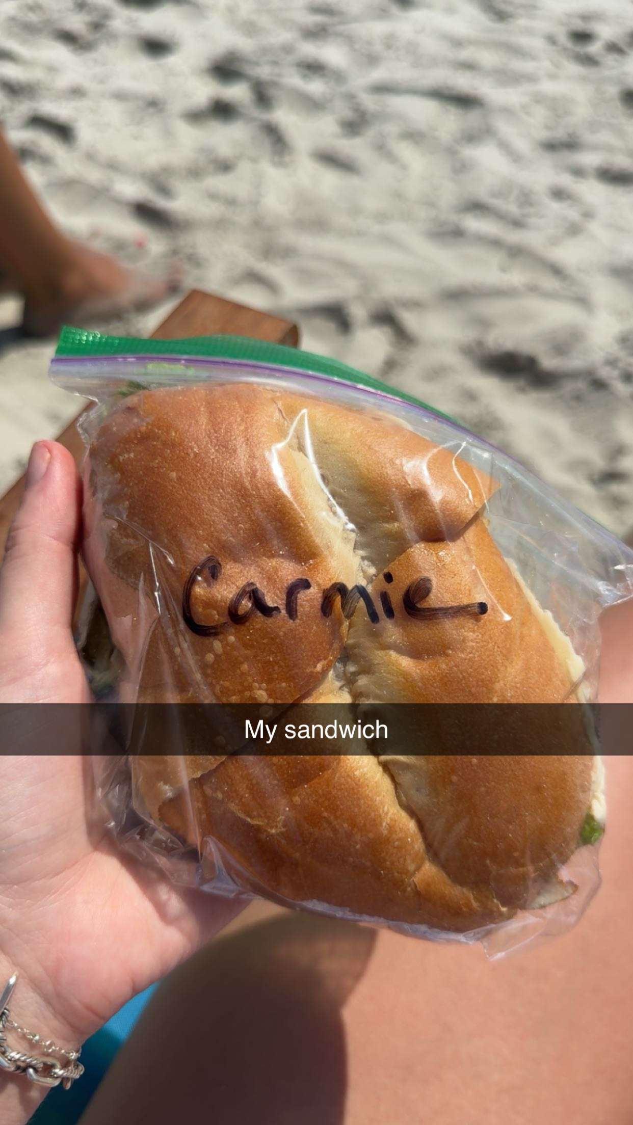 carmmieecat snapchat image archive image