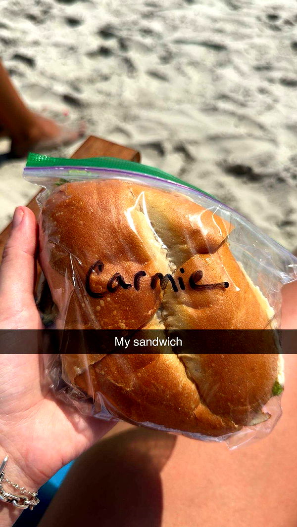 carmmieecat image ~ Altpins