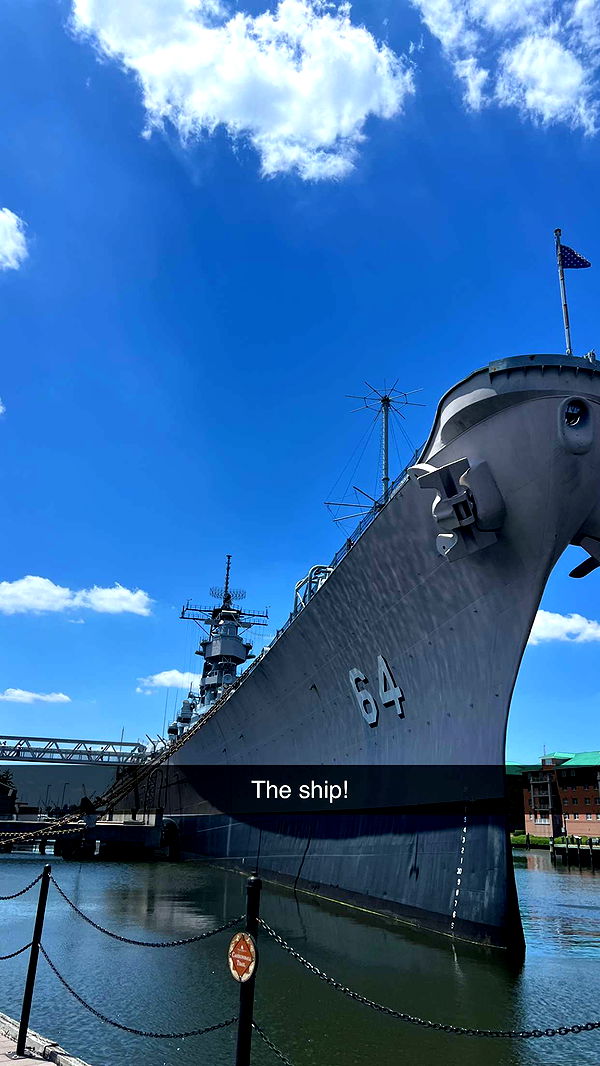 carmmieecat image ~ Altpins