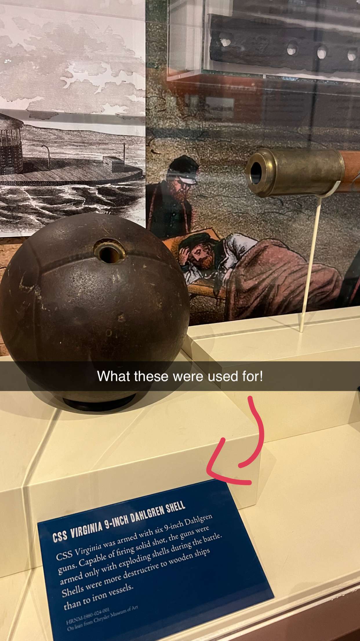 carmmieecat snapchat image archive image