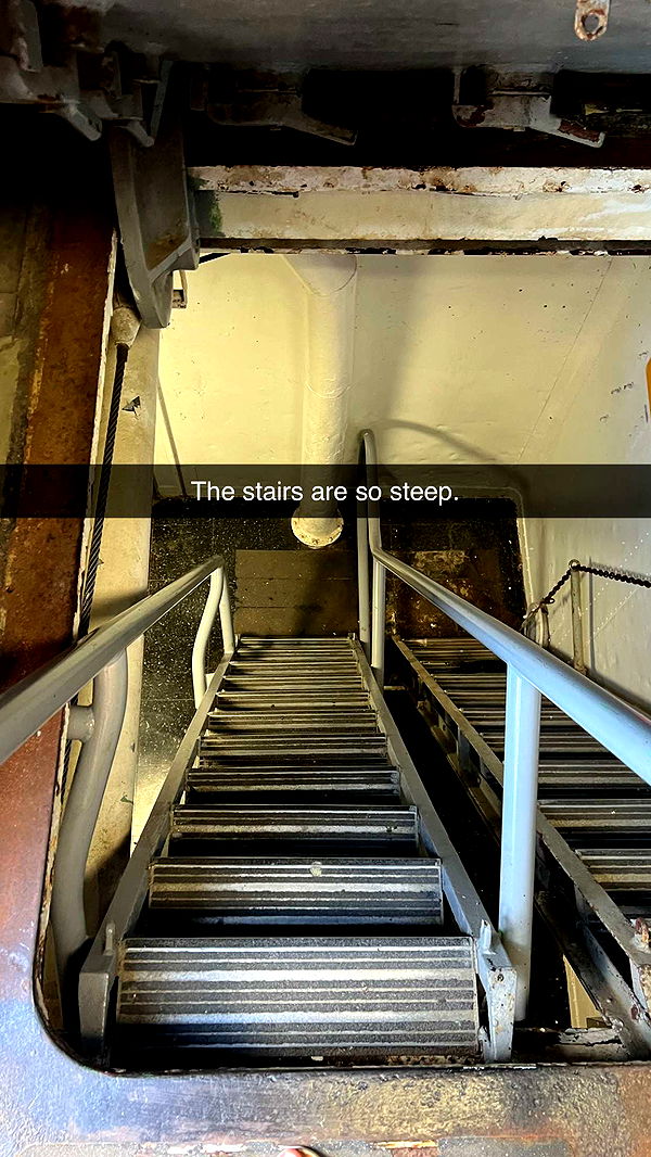 carmmieecat image ~ Altpins