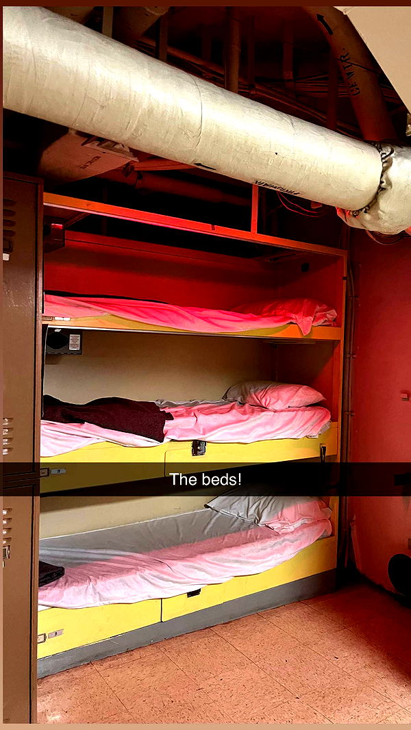 carmmieecat image ~ Altpins