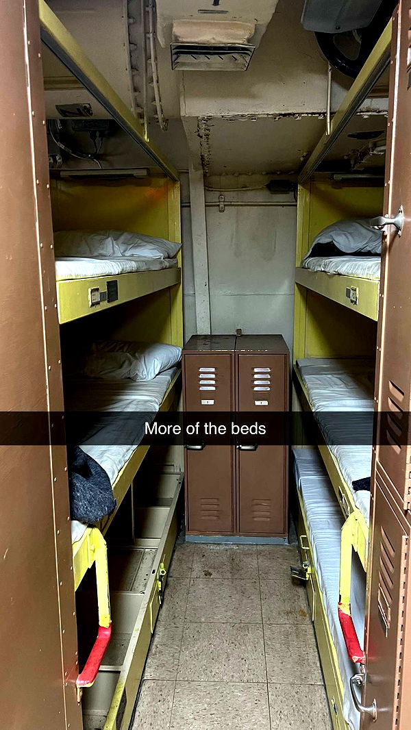 carmmieecat image ~ Altpins