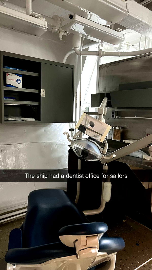 carmmieecat image ~ Altpins