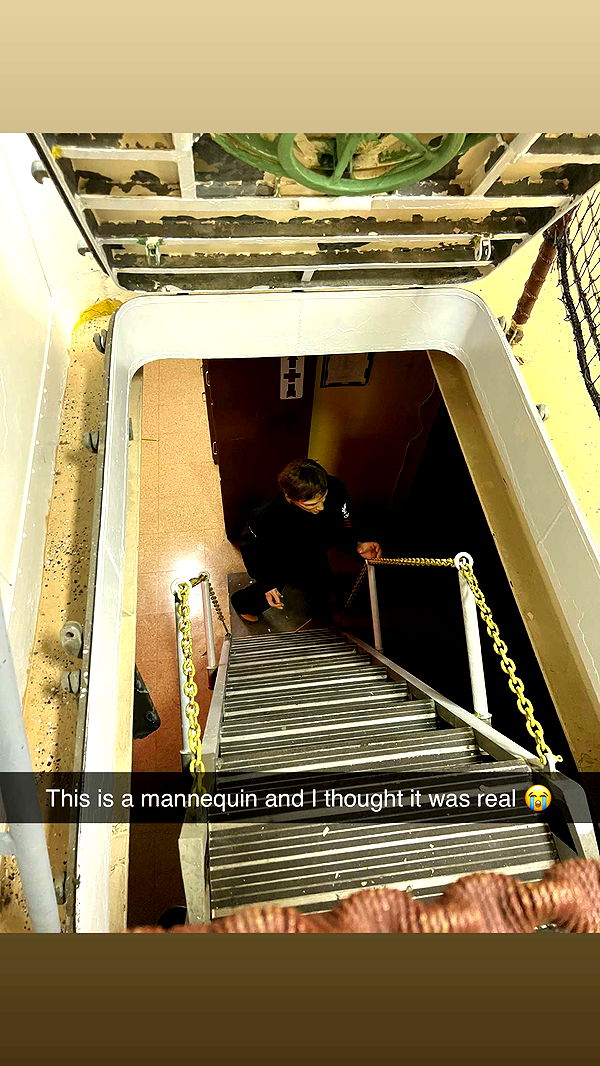 carmmieecat image ~ Altpins