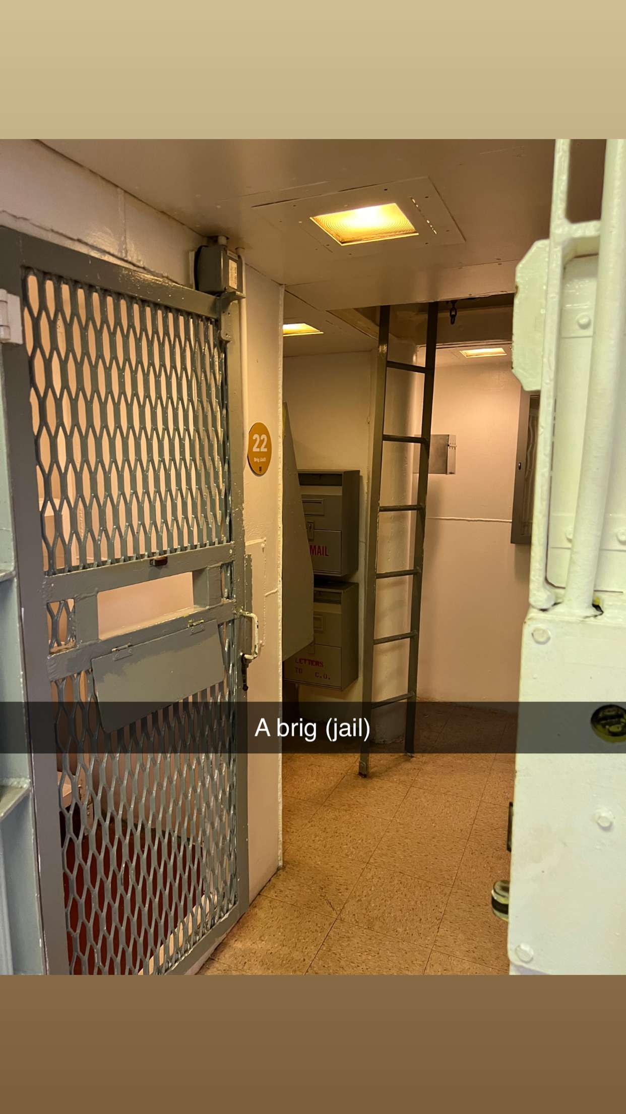 carmmieecat snapchat image archive image