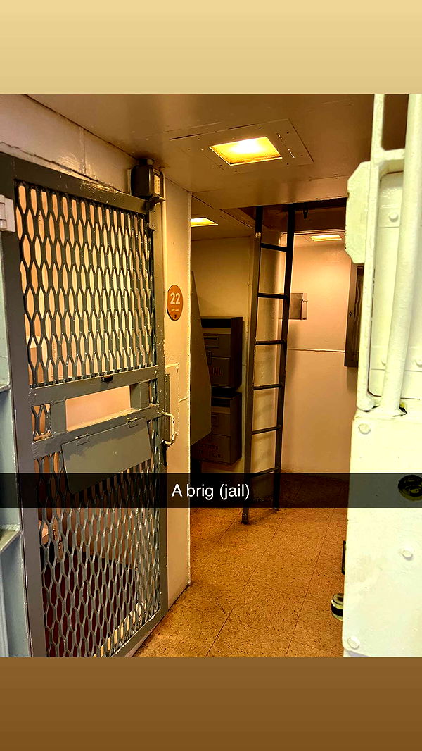 carmmieecat image ~ Altpins