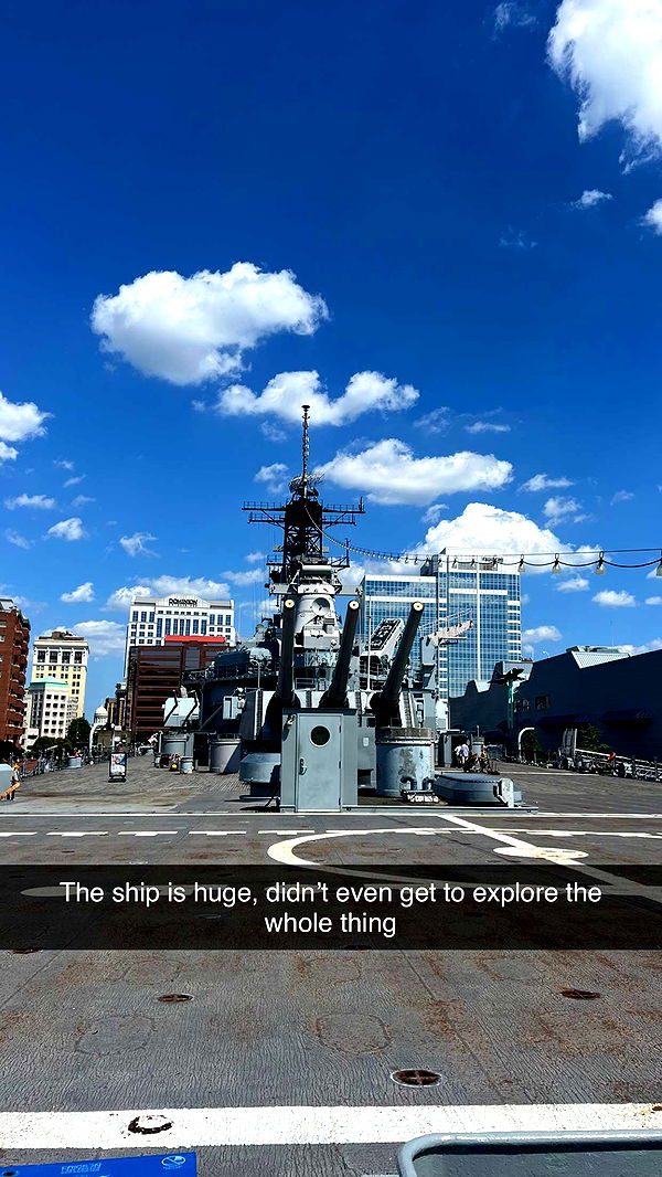 carmmieecat image ~ Altpins