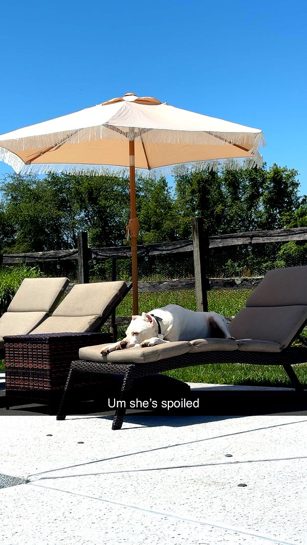 carmmieecat image ~ Altpins