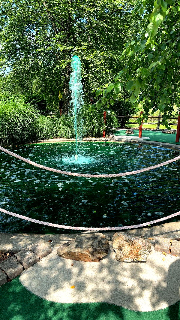 carmmieecat image ~ Altpins