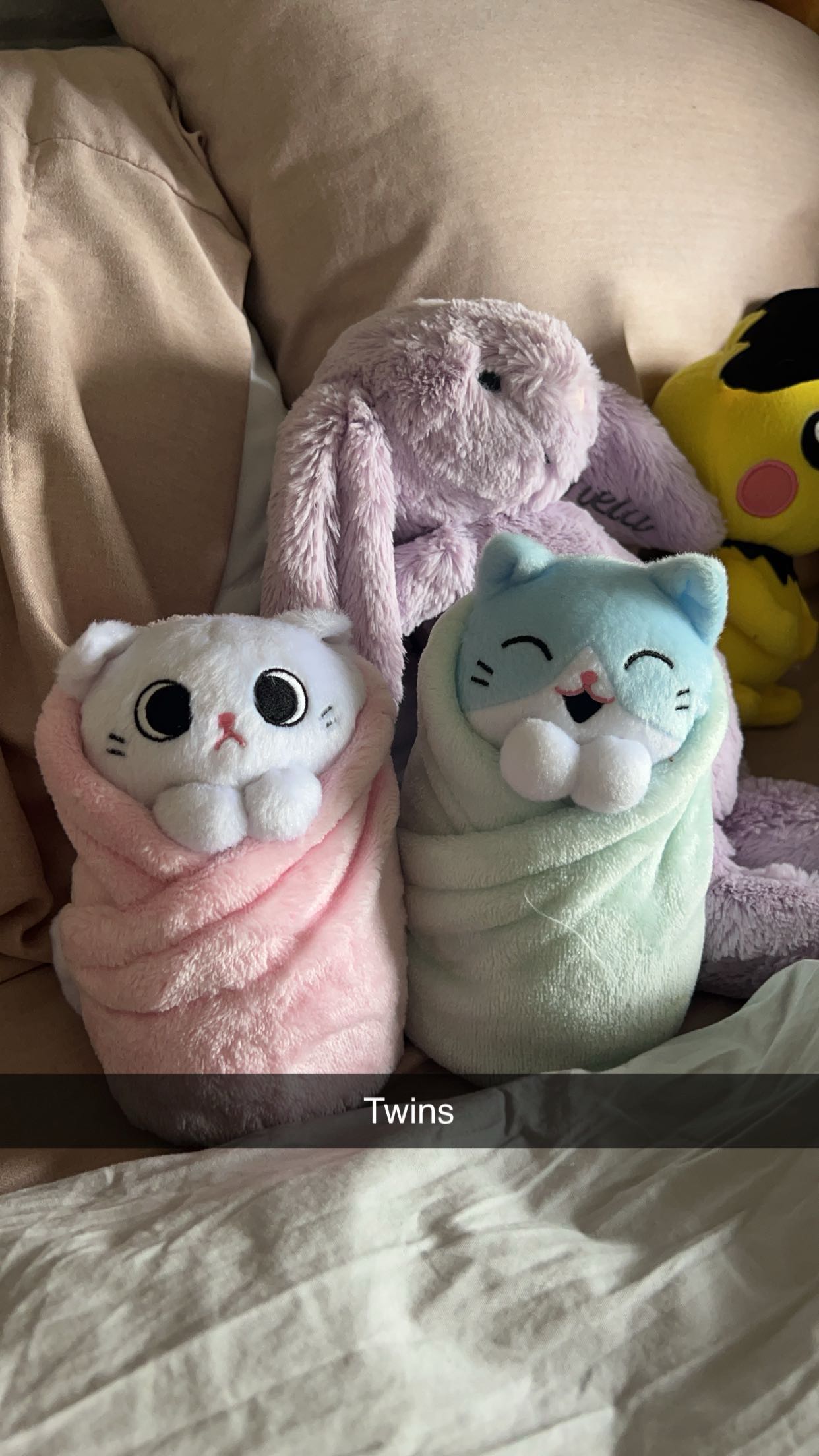 carmmieecat snapchat image archive image