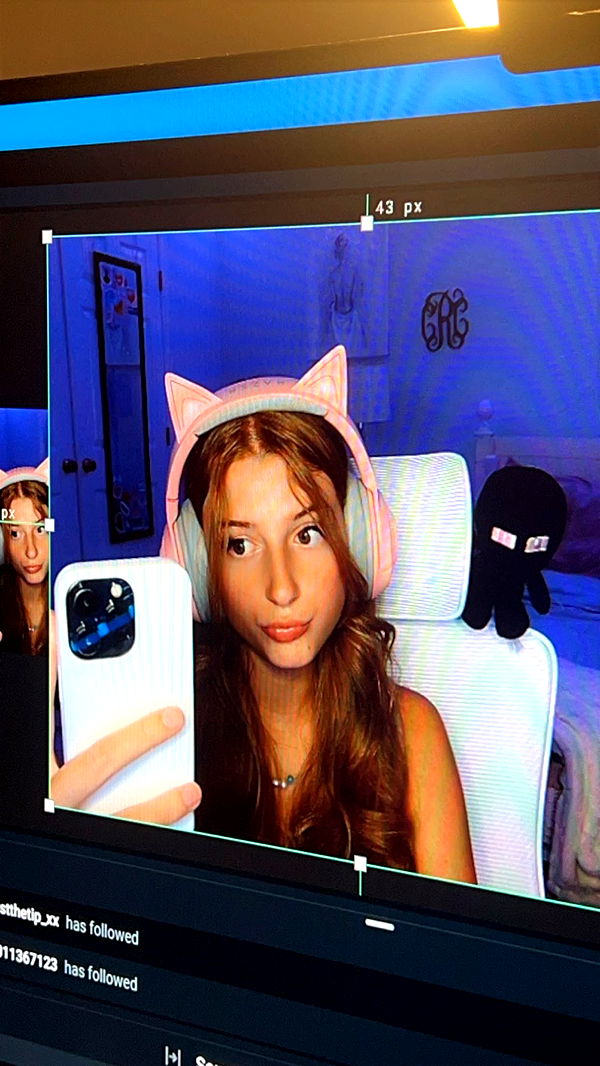 carmmieecat image ~ Altpins