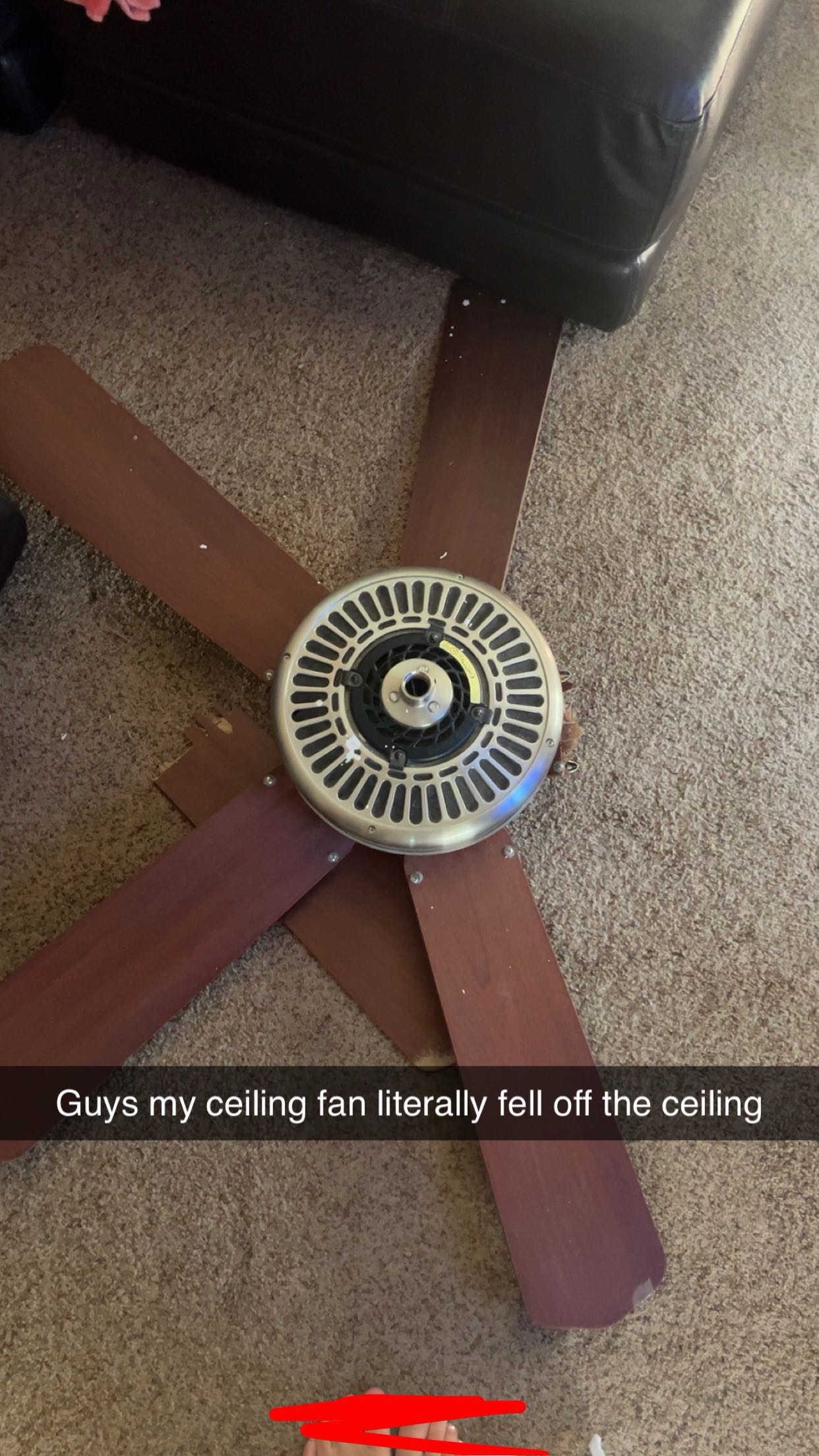 carmmieecat snapchat image archive image