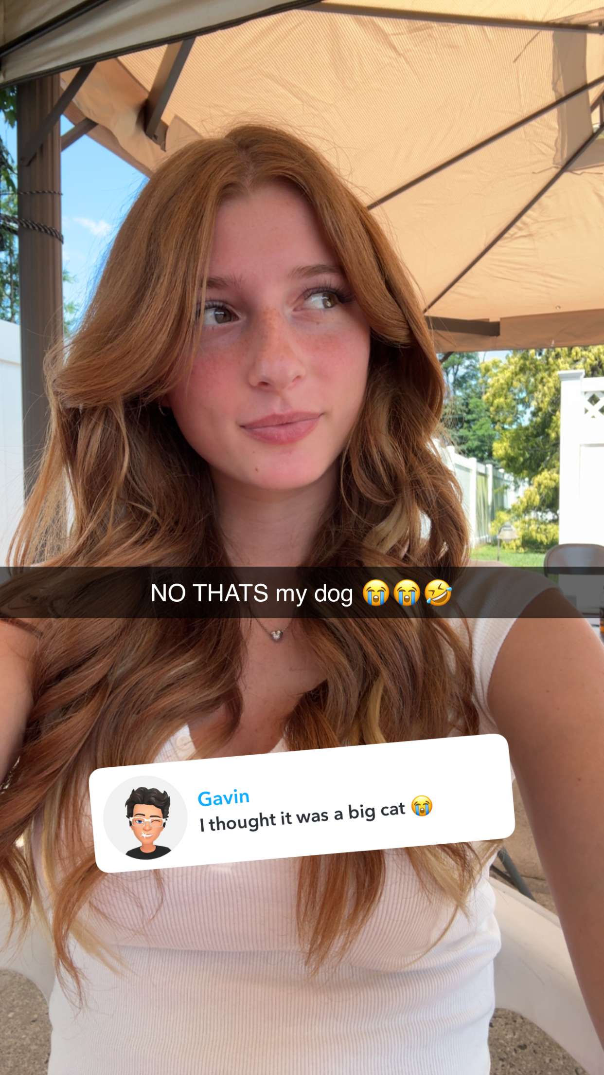 carmmieecat snapchat image archive image