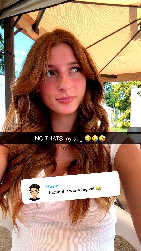 carmmieecat image ~ Altpins