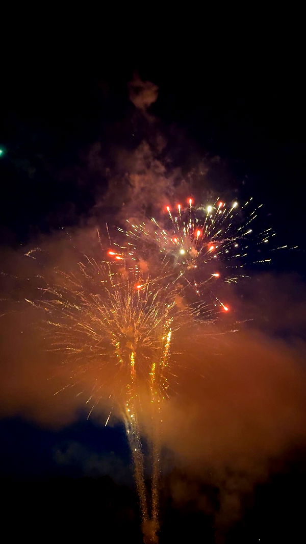 carmmieecat image ~ Altpins