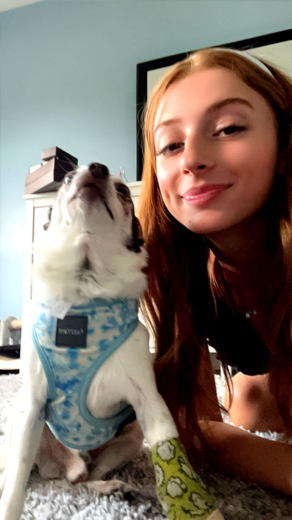 carmmieecat image ~ Altpins