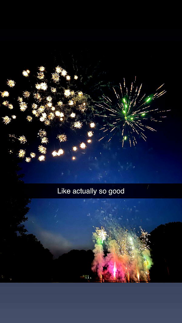 carmmieecat image ~ Altpins