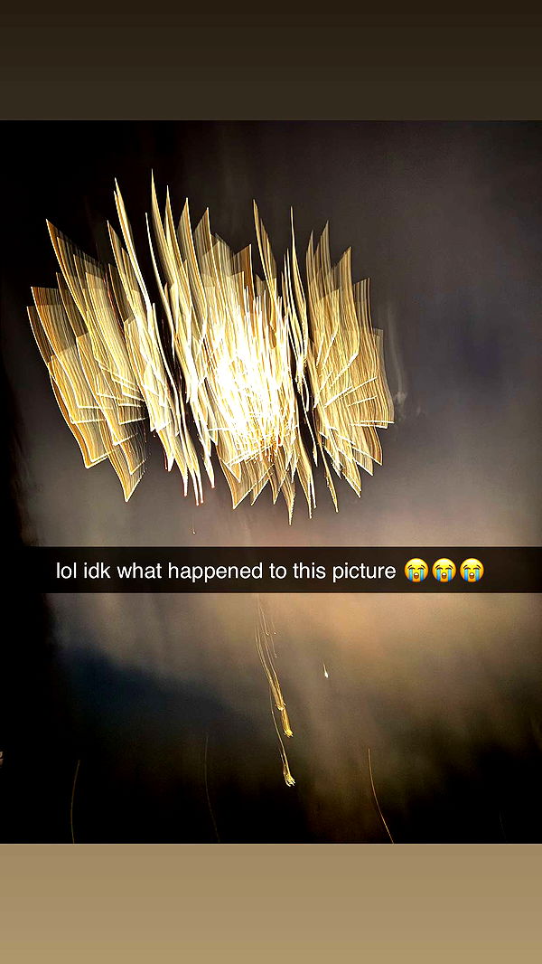 carmmieecat image ~ Altpins