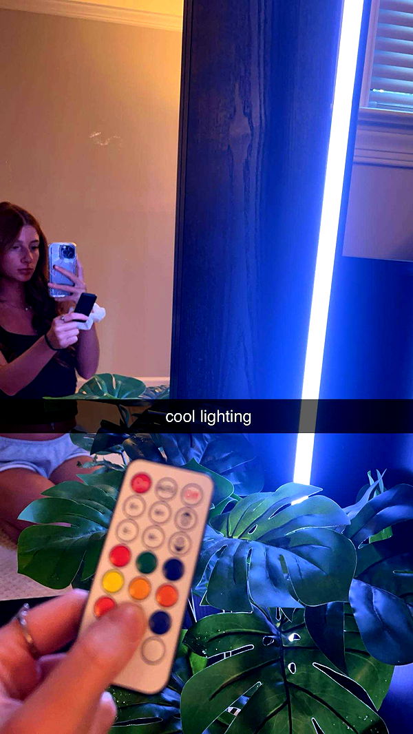 carmmieecat image ~ Altpins