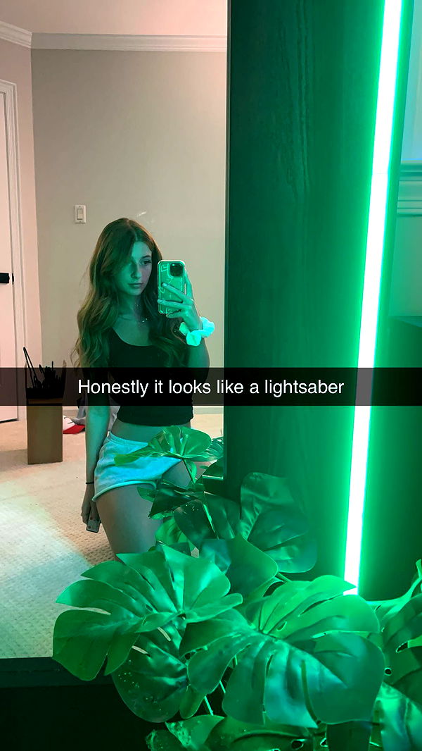 carmmieecat image ~ Altpins