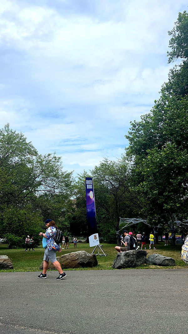 carmmieecat image ~ Altpins