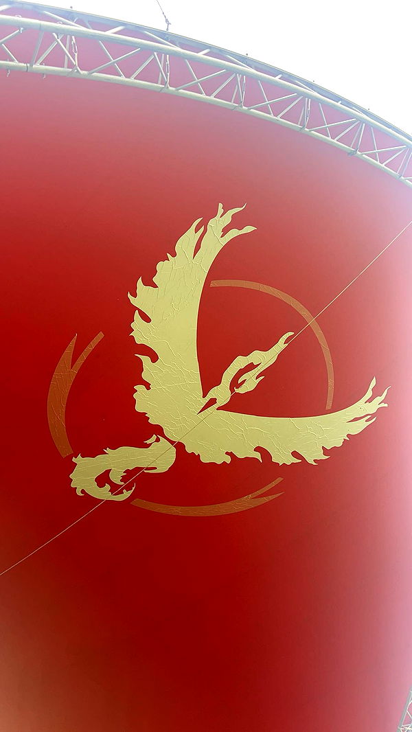 carmmieecat image ~ Altpins