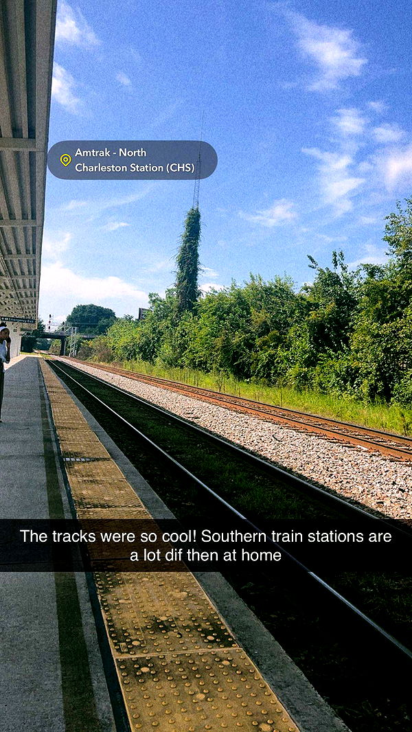 carmmieecat image ~ Altpins