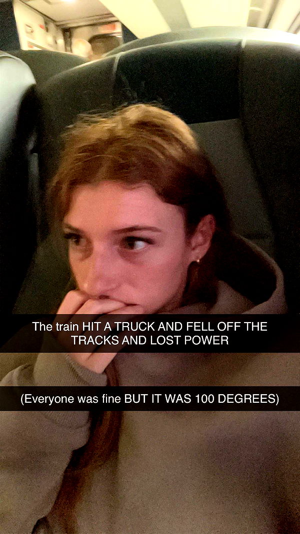 carmmieecat image ~ Altpins