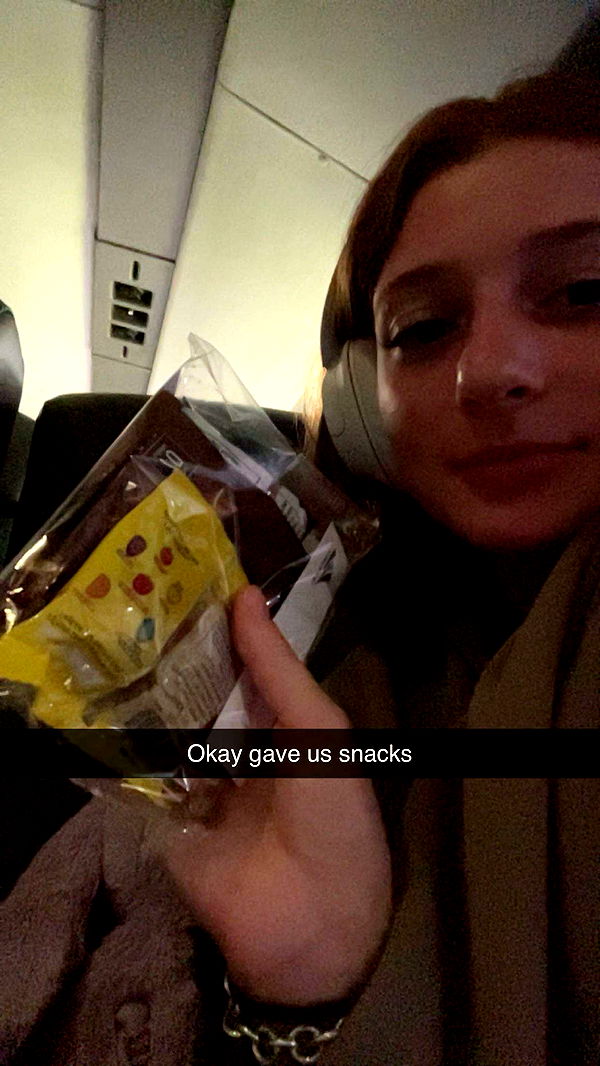 carmmieecat image ~ Altpins