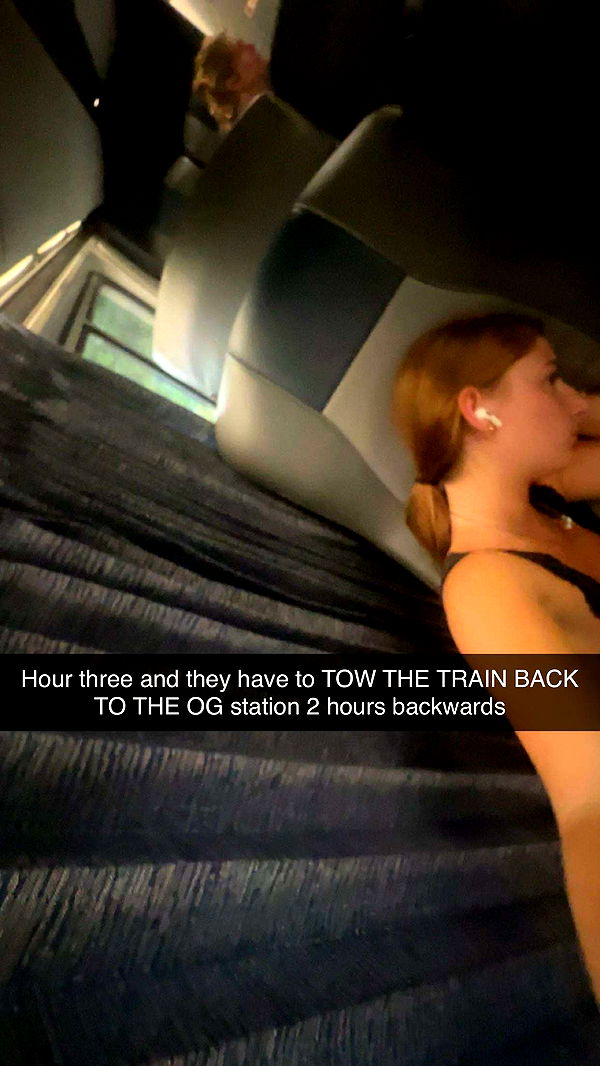 carmmieecat image ~ Altpins