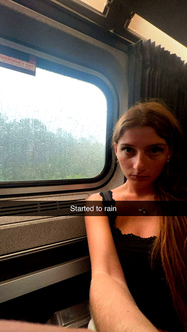 carmmieecat image ~ Altpins