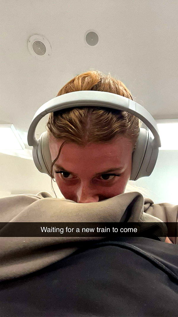 carmmieecat image ~ Altpins