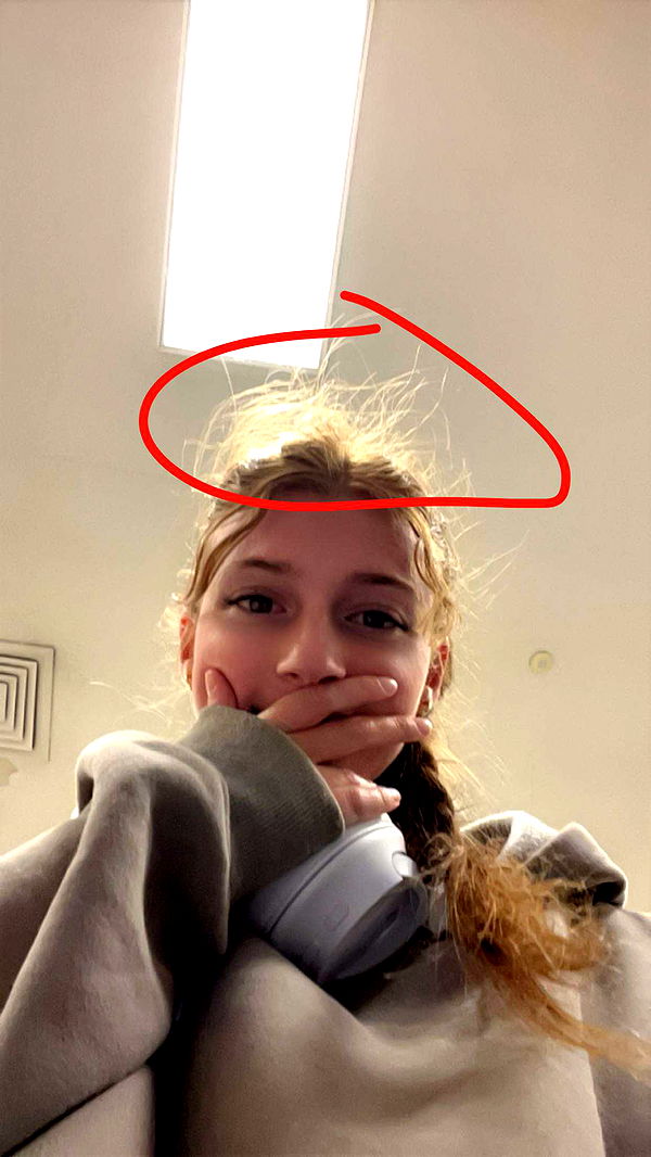 carmmieecat image ~ Altpins