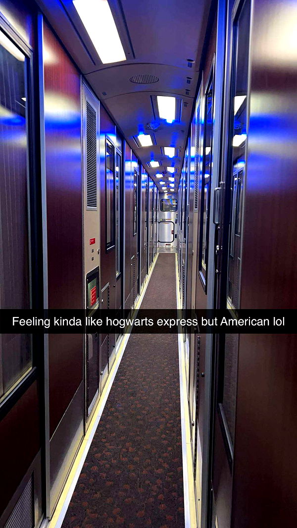 carmmieecat image ~ Altpins