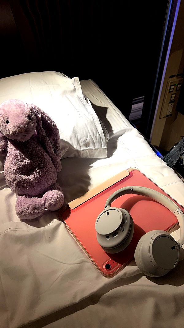 carmmieecat image ~ Altpins