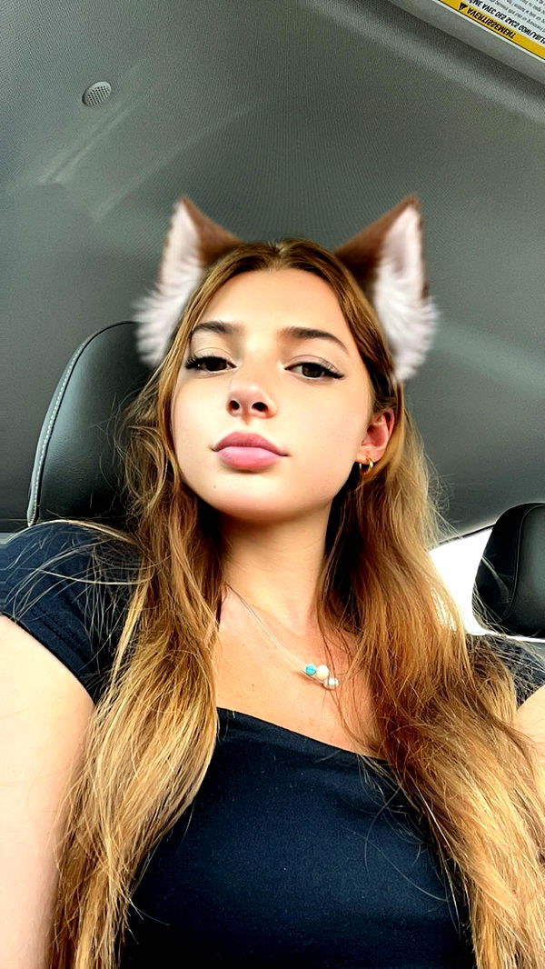 carmmieecat image ~ Altpins