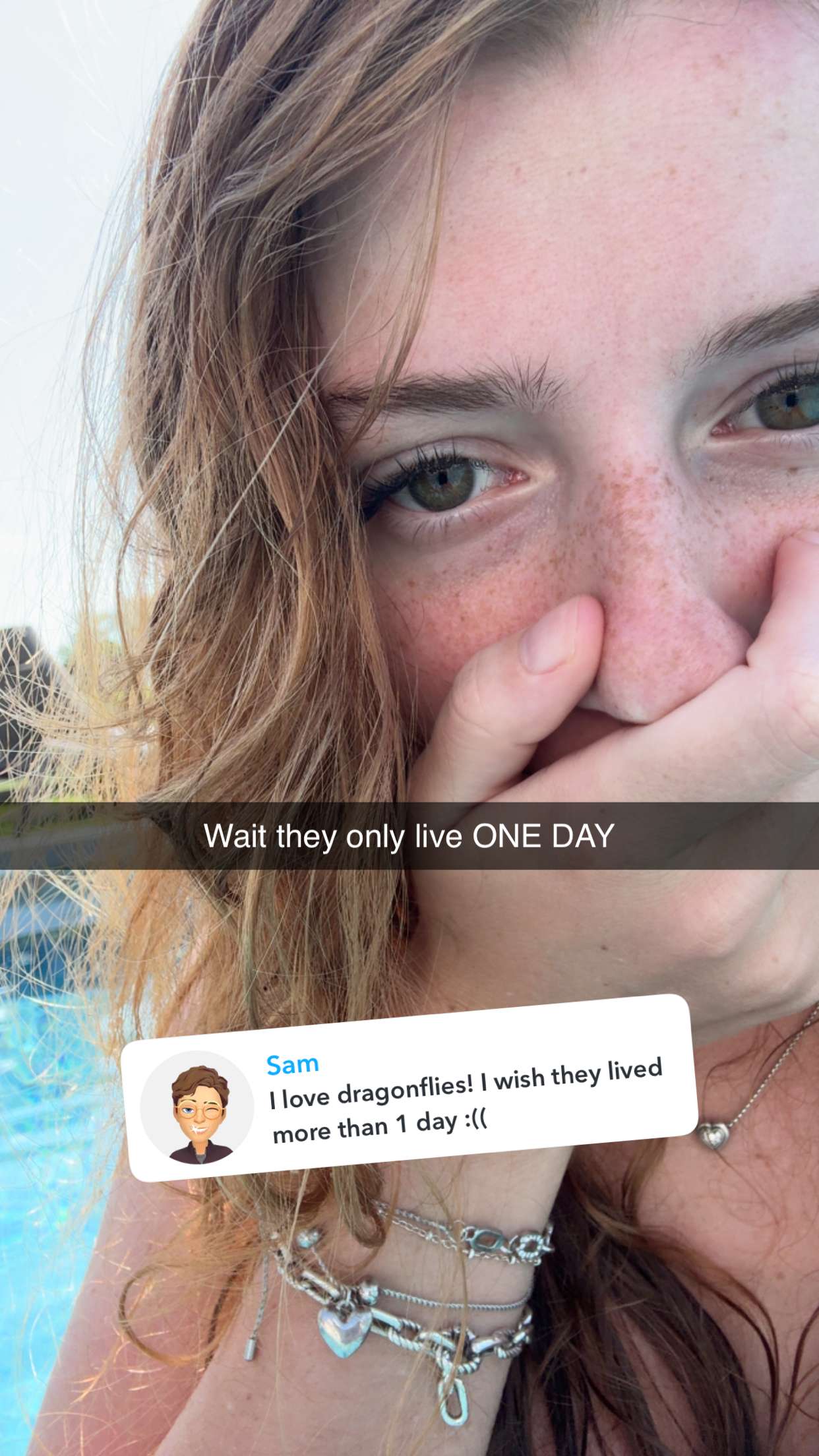 carmmieecat snapchat image archive image