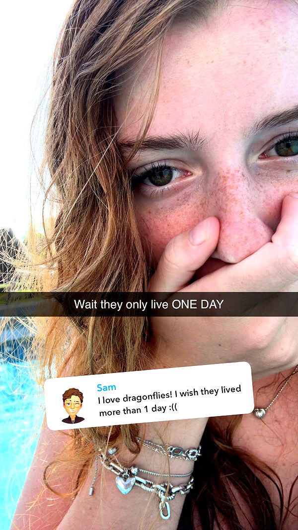 carmmieecat image ~ Altpins