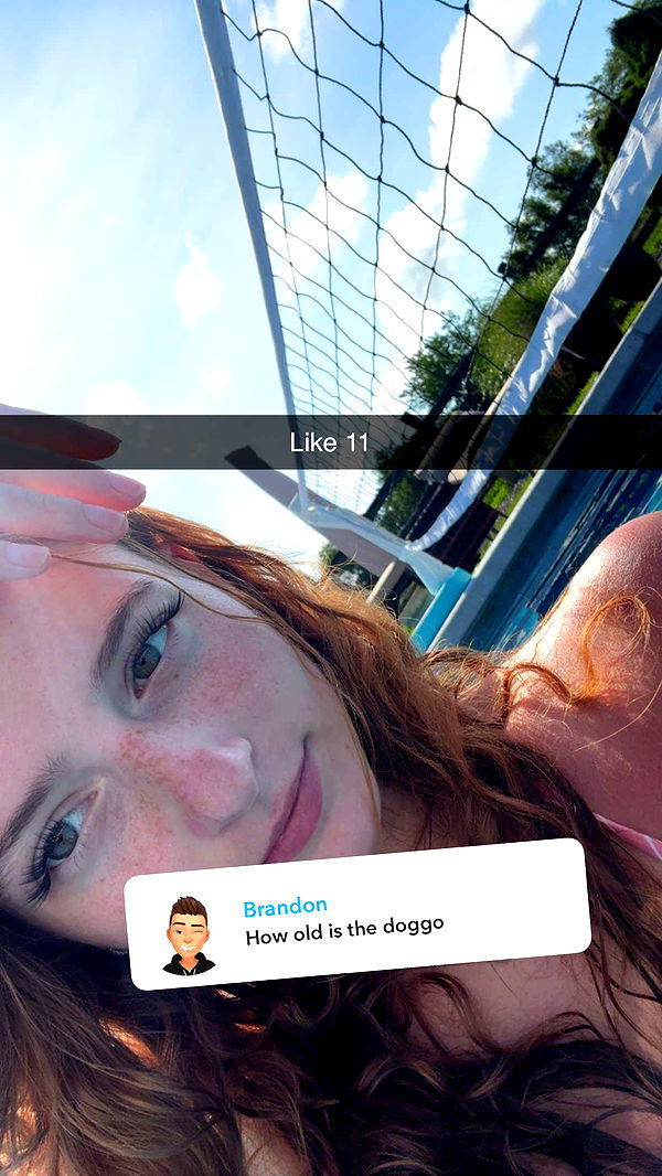 carmmieecat image ~ Altpins