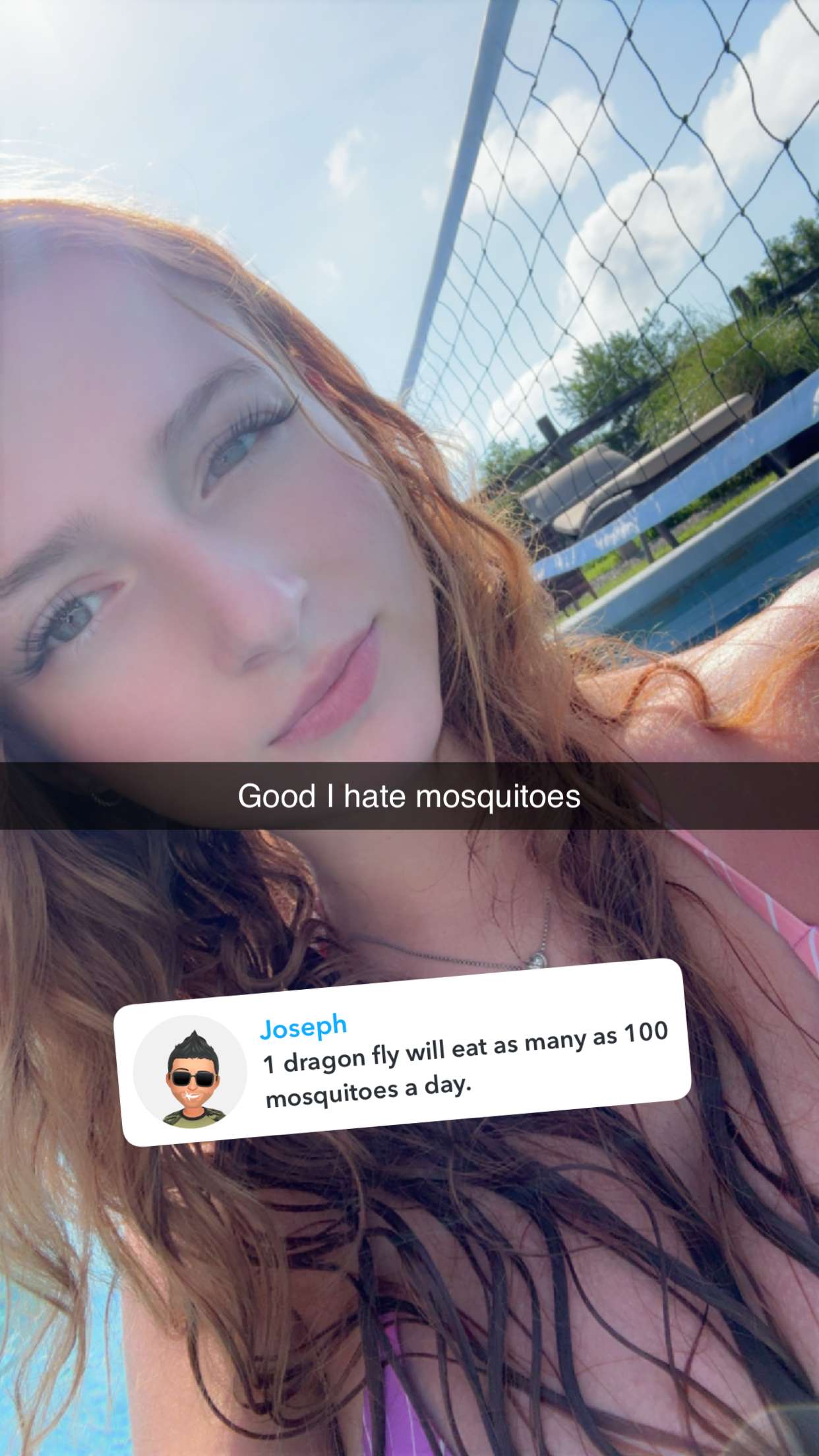 carmmieecat snapchat image archive image