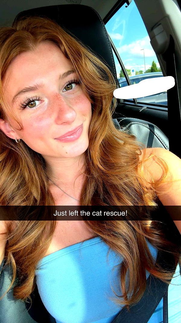 carmmieecat image ~ Altpins