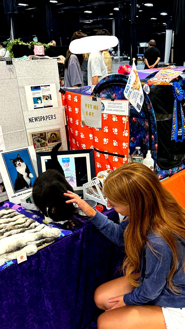 carmmieecat image ~ Altpins