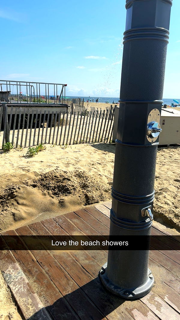 carmmieecat image ~ Altpins