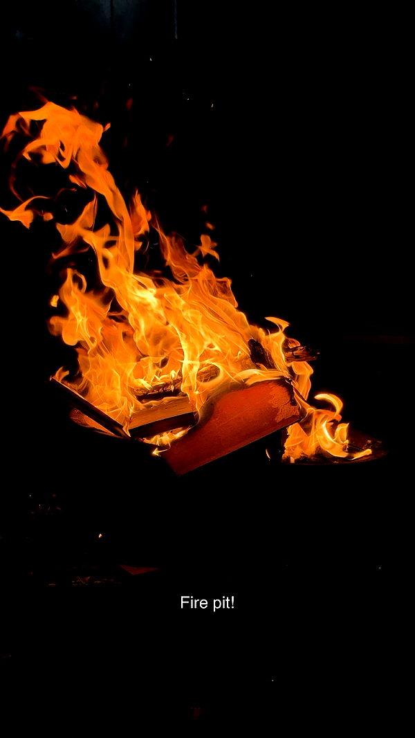 carmmieecat image ~ Altpins