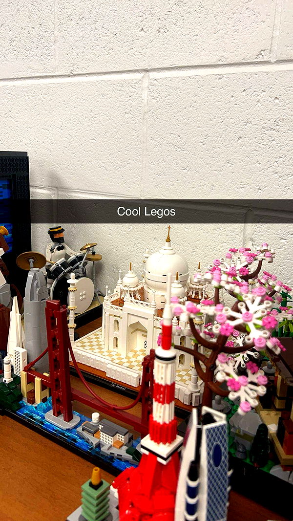 carmmieecat image ~ Altpins